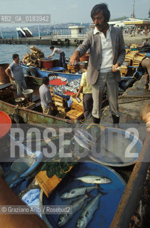 ( TURCHIA ) ISTANBUL : MERCATO DEL PESCE A USKUDAR   - © 1986 Graziano Arici/Rosebud2 / GEO / PESCA
