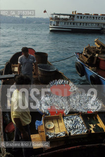 ( TURCHIA ) ISTANBUL : MERCATO DEL PESCE A USKUDAR   - © 1986 Graziano Arici/Rosebud2 / GEO / PESCA