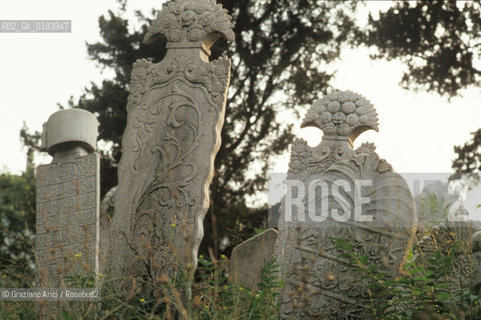 ( TURCHIA ) ISTANBUL : IL GRANDE CIMITERO  ISLAMICO DI USKUDAR   - © 1986 Graziano Arici/Rosebud2 / GEO