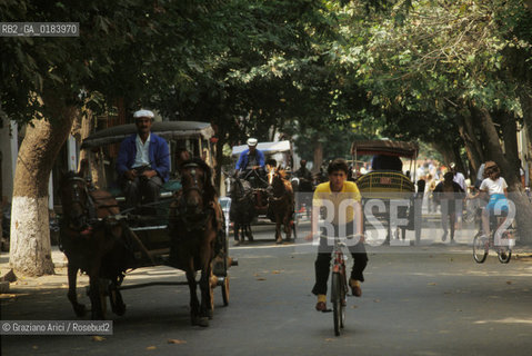 ( TURCHIA ) ISTANBUL : BOSFORO - ISOLE DEI PRINCIPI  - © 1986 Graziano Arici/Rosebud2 / GEO / CARROZZA