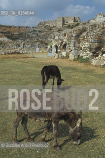 ( TURCHIA ) MILETO : TEATRO -  © 1986 Graziano Arici/Rosebud2 / GEO /