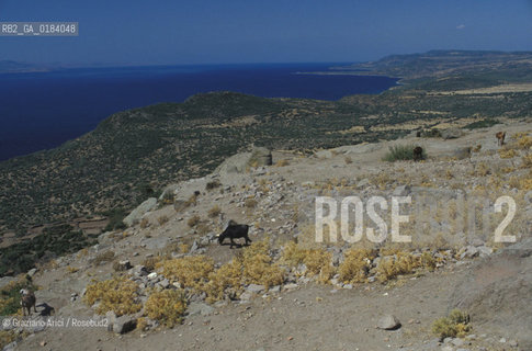 ( TURCHIA ) ASSO : SCAVI -  © 1986 Graziano Arici/Rosebud2 / GEO /