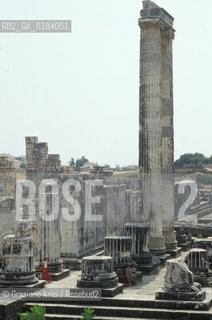 ( TURCHIA ) DIDIMA : TEMPIO DI APOLLO -  © 1986 Graziano Arici/Rosebud2 / GEO /