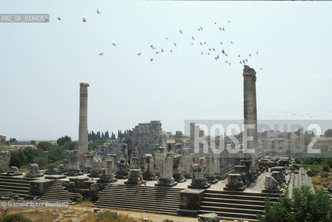 ( TURCHIA ) DIDIMA : TEMPIO DI APOLLO -  © 1986 Graziano Arici/Rosebud2 / GEO /