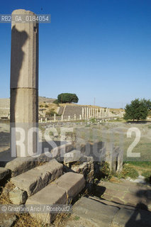 ( TURCHIA ) PERGAMO ( BERGAMA ) : ROVINE DELLASKLEPIEION -  © 1986 Graziano Arici/Rosebud2 / GEO /
