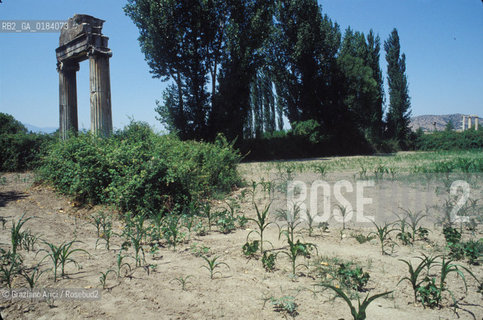 ( TURCHIA ) AFRODISIAS : ZONA ARCHEOLOGICA  -  © 1986 Graziano Arici/Rosebud2 / GEO /