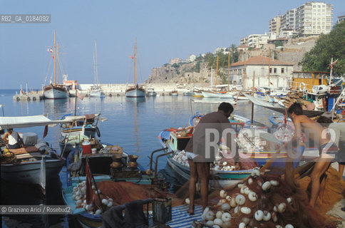 ( TURCHIA ) ANTALYA  : PORTICCIOLO  -  © 1986 Graziano Arici/Rosebud2 / GEO / PESCA