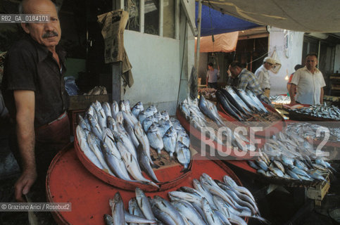 ( TURCHIA ) SMIRNE  : MERCATO  -  © 1986 Graziano Arici/Rosebud2 / GEO / PESCA / PESCE