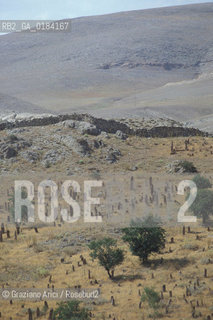 ( TURCHIA ) ANATOLIA : CIMITERO MUSSULMANO  -  © 1986 Graziano Arici/Rosebud2 / GEO