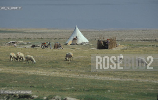 ( TURCHIA ) ANATOLIA : PASTORI NOMADI -  © 1986 Graziano Arici/Rosebud2 / GEO