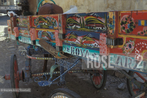 ( TURCHIA ) ANATOLIA : CARRO DECORATO -  © 1986 Graziano Arici/Rosebud2 / GEO