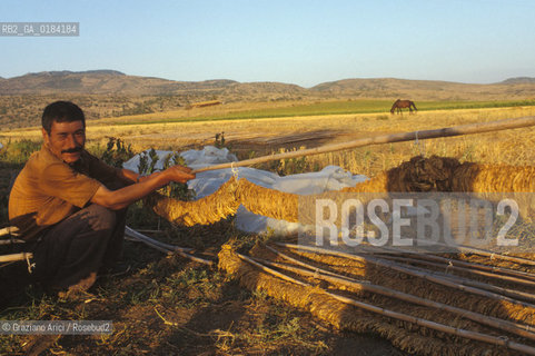( TURCHIA ) ANATOLIA : ESSICCAZIONE DEL TABACCO  -  © 1986 Graziano Arici/Rosebud2 / GEO