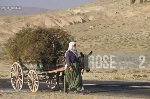 ( TURCHIA ) CAPPADOCIA : VALLE DI GOREME - CARRO  -  © 1986 Graziano Arici/Rosebud2 / GEO