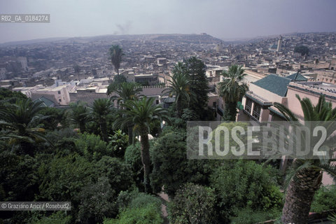 ( MAROCCO ) FEZ : VISTA DELLA MEDINA - FES EL BALI  - © 1996 Graziano Arici/Rosebud2 / GEO /