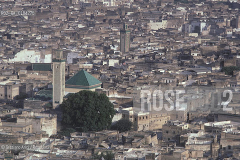( MAROCCO ) FEZ : VISTA DELLA MEDINA - FES EL BALI  - © 1996 Graziano Arici/Rosebud2 / GEO /