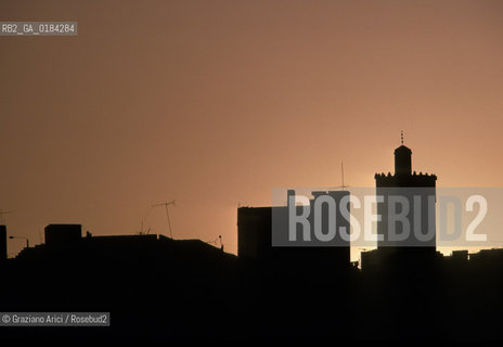 ( MAROCCO ) FEZ : VISTA DELLA MEDINA - FES EL BALI  - © 1996 Graziano Arici/Rosebud2 / GEO /