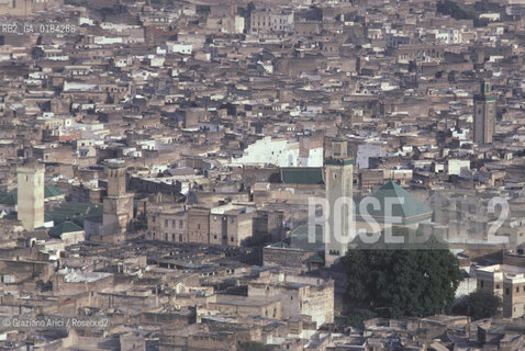 ( MAROCCO ) FEZ  ( FES ) : LA NECROPOLI MERINIDE E LA MEDINA - © 1996 Graziano Arici/Rosebud2 / GEO /