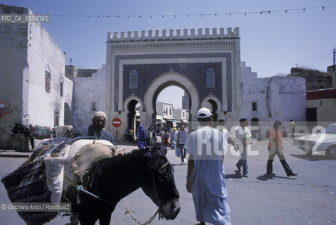 ( MAROCCO ) FEZ :  FES EL BALI  - BAB BOUJELOUD  - © 1996 Graziano Arici/Rosebud2 / GEO