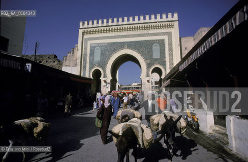 ( MAROCCO ) FEZ :  FES EL BALI  - BAB BOUJELOUD  - © 1996 Graziano Arici/Rosebud2 / GEO