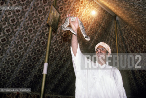 ( MAROCCO ) MARRAKECH :  - SPETTACOLO FOLKLORISTICO  - © 1996 Graziano Arici/Rosebud2 / GEO / TURISMO / SERPENTE