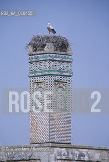 ( MAROCCO ) RABAT :  CHELLA  - © 1996 Graziano Arici/Rosebud2 / GEO /  CICOGNA
