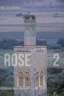 ( MAROCCO ) RABAT :  CHELLA  - © 1996 Graziano Arici/Rosebud2 / GEO /  CICOGNA