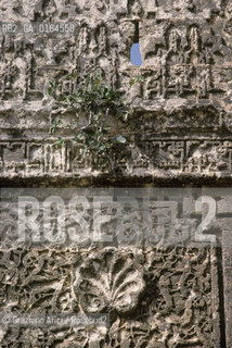 ( MAROCCO ) RABAT :  muro della chellah  - © 1996 Graziano Arici/Rosebud2 / GEO /