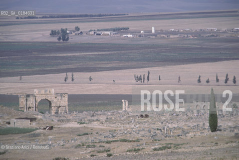 ( MAROCCO ) SITO ARCHEOLOGICO DI VOLUBILIS   - © 1996 Graziano Arici/Rosebud2 / GEO /