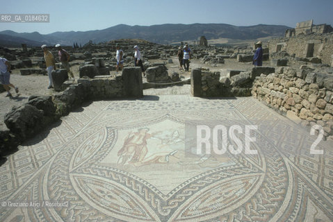 ( MAROCCO ) SITO ARCHEOLOGICO DI VOLUBILIS   - © 1996 Graziano Arici/Rosebud2 / GEO /