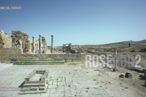 ( MAROCCO ) SITO ARCHEOLOGICO DI VOLUBILIS   - © 1996 Graziano Arici/Rosebud2 / GEO /