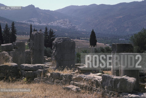 ( MAROCCO ) SITO ARCHEOLOGICO DI VOLUBILIS   - © 1996 Graziano Arici/Rosebud2 / GEO /