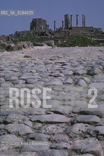 ( MAROCCO ) SITO ARCHEOLOGICO DI VOLUBILIS   - © 1996 Graziano Arici/Rosebud2 / GEO / STRADA