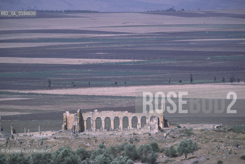 ( MAROCCO ) SITO ARCHEOLOGICO DI VOLUBILIS   - © 1996 Graziano Arici/Rosebud2 / GEO /