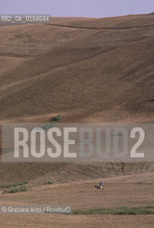 ( MAROCCO ) CAMPAGNA ATTORNOA MOULAY IDRISS   - © 1996 Graziano Arici/Rosebud2 / GEO /