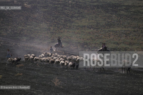( MAROCCO ) CAMPAGNA ATTORNOA MOULAY IDRISS   - © 1996 Graziano Arici/Rosebud2 / GEO /