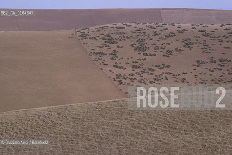 ( MAROCCO ) CAMPAGNA ATTORNOA MOULAY IDRISS   - © 1996 Graziano Arici/Rosebud2 / GEO /