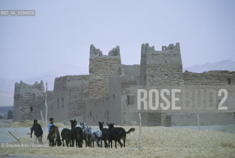 ( MAROCCO ) MAROCCO DEL SUD :IL MASSICCIO DELLATLANTE NEI DITORNI DI  ER-RACHIDIA   - © 1996 Graziano Arici/Rosebud2 / GEO /