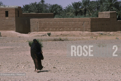 ( MAROCCO ) MAROCCO DEL SUD : ZONA PRESEDERTICA DEL TAFILALET   - © 1996 Graziano Arici/Rosebud2 / GEO / OASI
