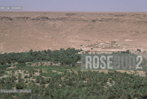 ( MAROCCO ) MAROCCO DEL SUD : ZONA PRESEDERTICA DEL TAFILALET   - © 1996 Graziano Arici/Rosebud2 / GEO / OASI