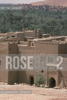 ( MAROCCO ) MAROCCO DEL SUD : ZONA PRESEDERTICA DEL TAFILALET   - © 1996 Graziano Arici/Rosebud2 / GEO / OASI
