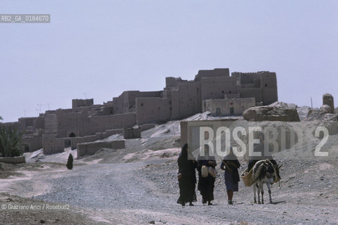 ( MAROCCO ) MAROCCO DEL SUD : ZONA PRESEDERTICA DEL TAFILALET   - © 1996 Graziano Arici/Rosebud2 / GEO / OASI