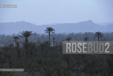 ( MAROCCO ) MAROCCO DEL SUD : ZONA PRESEDERTICA DEL TAFILALET  - OASI DI ERFOUD - © 1996 Graziano Arici/Rosebud2 / GEO