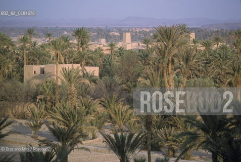 ( MAROCCO ) MAROCCO DEL SUD : ZONA PRESEDERTICA DEL TAFILALET  - OASI DI ERFOUD - © 1996 Graziano Arici/Rosebud2 / GEO