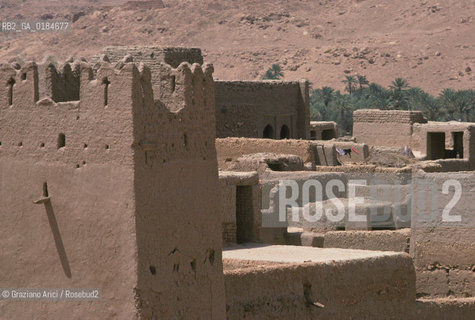 ( MAROCCO ) MAROCCO DEL SUD : ZONA PRESEDERTICA DEL TAFILALET  - OASI DI ERFOUD - © 1996 Graziano Arici/Rosebud2 / GEO