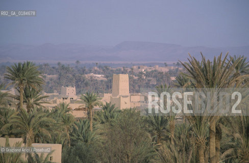 ( MAROCCO ) MAROCCO DEL SUD : ZONA PRESEDERTICA DEL TAFILALET  - OASI DI ERFOUD - © 1996 Graziano Arici/Rosebud2 / GEO