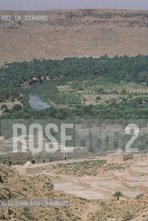 ( MAROCCO ) MAROCCO DEL SUD : ZONA PRESEDERTICA DEL TAFILALET  - OASI DI ERFOUD - © 1996 Graziano Arici/Rosebud2 / GEO