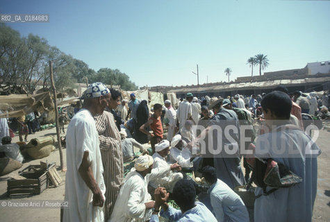 ( MAROCCO ) MAROCCO DEL SUD : ZONA PRESEDERTICA DEL TAFILALET  - OASI DI RISSANI - © 1996 Graziano Arici/Rosebud2 / GEO / MERCATO