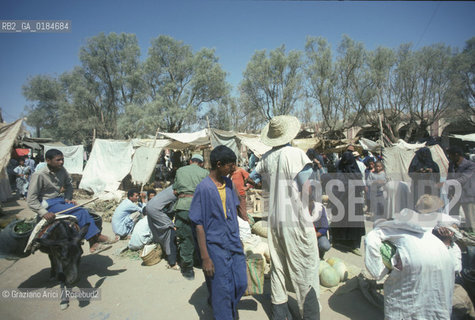 ( MAROCCO ) MAROCCO DEL SUD : ZONA PRESEDERTICA DEL TAFILALET  - OASI DI RISSANI - © 1996 Graziano Arici/Rosebud2 / GEO / MERCATO