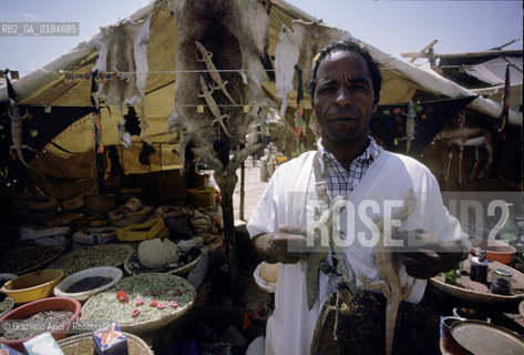 ( MAROCCO ) MAROCCO DEL SUD : ZONA PRESEDERTICA DEL TAFILALET  - OASI DI RISSANI - © 1996 Graziano Arici/Rosebud2 / GEO / MERCATO