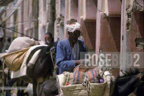 ( MAROCCO ) MAROCCO DEL SUD : ZONA PRESEDERTICA DEL TAFILALET  - OASI DI RISSANI - © 1996 Graziano Arici/Rosebud2 / GEO / MERCATO